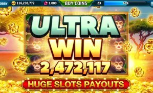casino baji